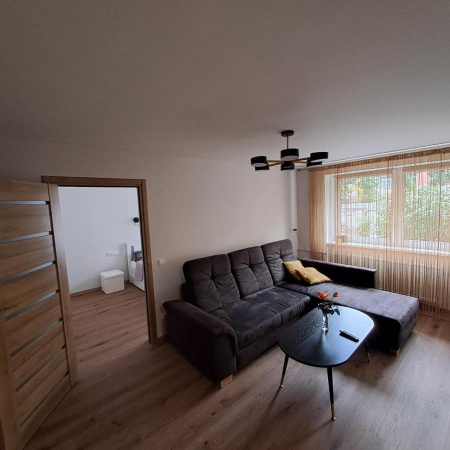 Vytes Apartamentai Kaunas Eksteriør bilde